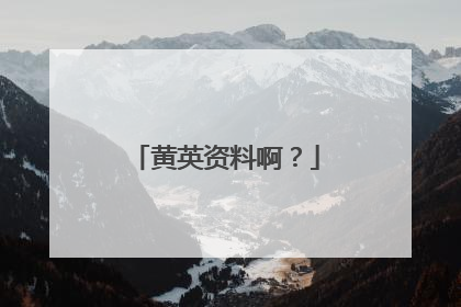 黄英资料啊？