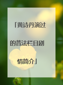 黄诗丹演过的普法栏目剧情简介