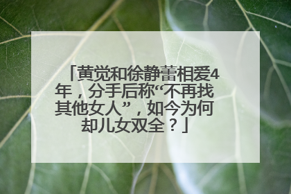 黄觉和徐静蕾相爱4年,分手后称“不再找其他女人”,如今为何却儿女双全?