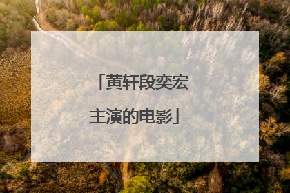 黄轩段奕宏主演的电影