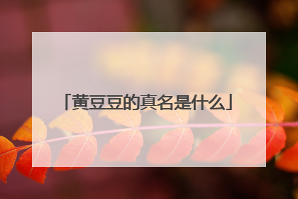 黄豆豆的真名是什么