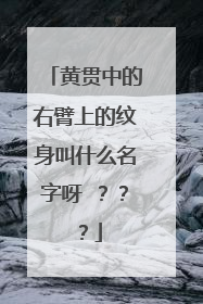 黄贯中的右臂上的纹身叫什么名字呀 ???