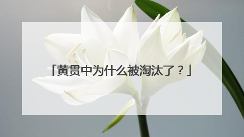 黄贯中为什么被淘汰了？