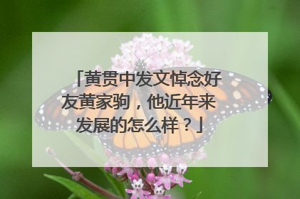 黄贯中发文悼念好友黄家驹,他近年来发展的怎么样?