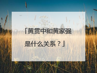 黄贯中和黄家强是什么关系?