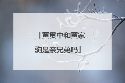 黄贯中和黄家驹是亲兄弟吗