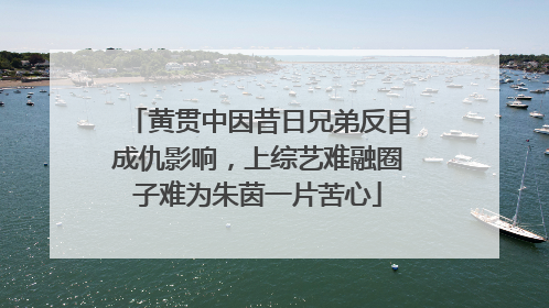 黄贯中因昔日兄弟反目成仇影响，上综艺难融圈子难为朱茵一片苦心