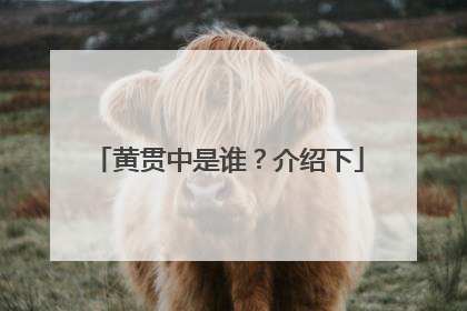 黄贯中是谁?介绍下