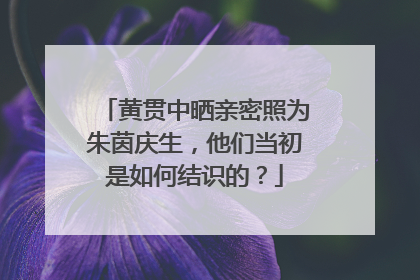 黄贯中晒亲密照为朱茵庆生，他们当初是如何结识的？