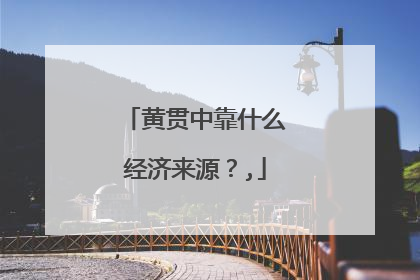 黄贯中靠什么经济来源？,