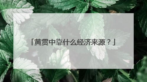 黄贯中靠什么经济来源?