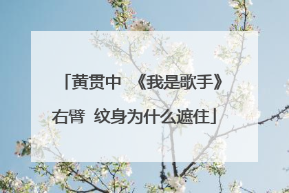 黄贯中 《我是歌手》右臂 纹身为什么遮住