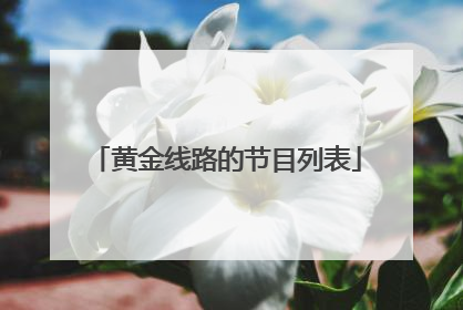 黄金线路的节目列表