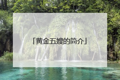 黄金五嫂的简介
