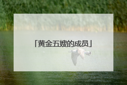 黄金五嫂的成员
