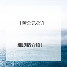 黄金兄弟详细剧情介绍