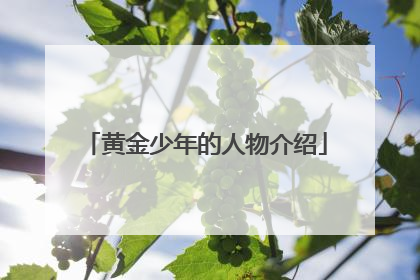 黄金少年的人物介绍