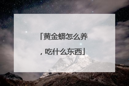 黄金蟒怎么养,吃什么东西