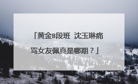 黄金B段班 沈玉琳痛骂女友佩真是哪期？