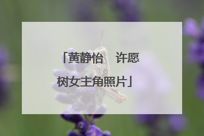 黄静怡 许愿树女主角照片