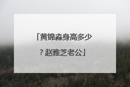 黄锦淼身高多少？赵雅芝老公