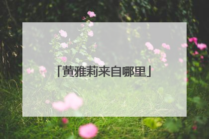 黄雅莉来自哪里