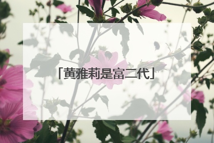 黄雅莉是富二代