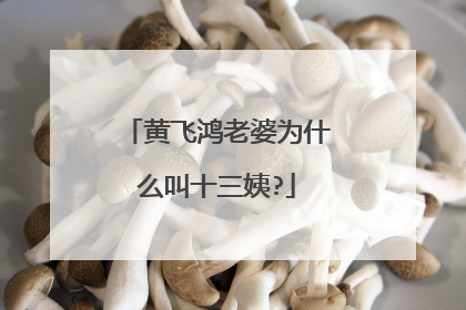 黄飞鸿老婆为什么叫十三姨?