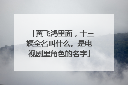 黄飞鸿里面,十三姨全名叫什么。是电视剧里角色的名字
