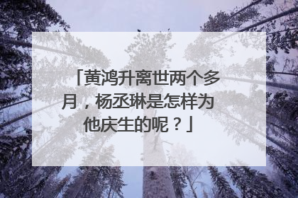 黄鸿升离世两个多月，杨丞琳是怎样为他庆生的呢？