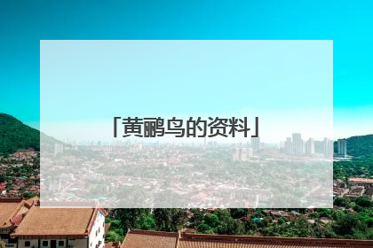 黄鹂鸟的资料