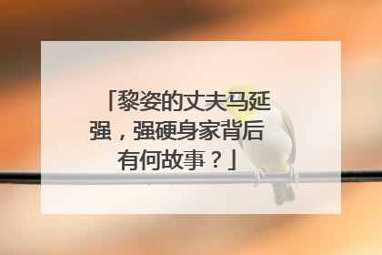 黎姿的丈夫马延强，强硬身家背后有何故事？