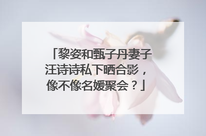 黎姿和甄子丹妻子汪诗诗私下晒合影，像不像名媛聚会？