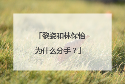 黎姿和林保怡为什么分手？