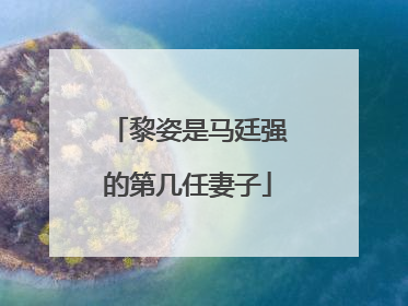 黎姿是马廷强的第几任妻子