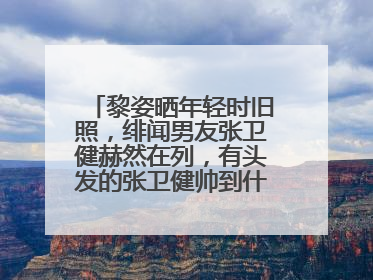 黎姿晒年轻时旧照,绯闻男友张卫健赫然在列,有头发的张卫健帅到什么地步?