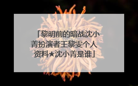 黎明前的暗战沈小菁扮演者王黎雯个人资料★沈小菁是谁