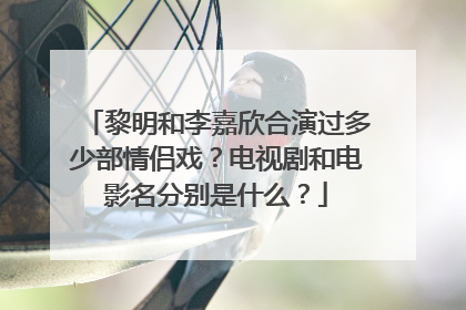 黎明和李嘉欣合演过多少部情侣戏?电视剧和电影名分别是什么?