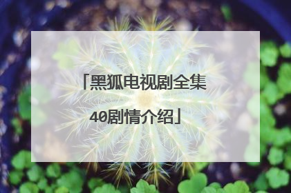 黑狐电视剧全集40剧情介绍
