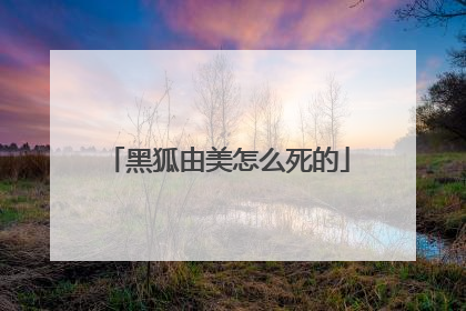 黑狐由美怎么死的