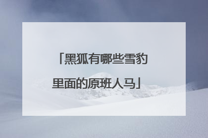 黑狐有哪些雪豹里面的原班人马