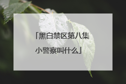 黑白禁区第八集小警察叫什么