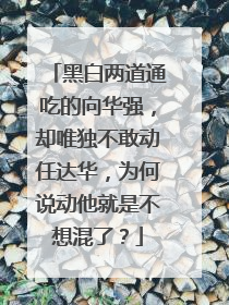 黑白两道通吃的向华强，却唯独不敢动任达华，为何说动他就是不想混了？