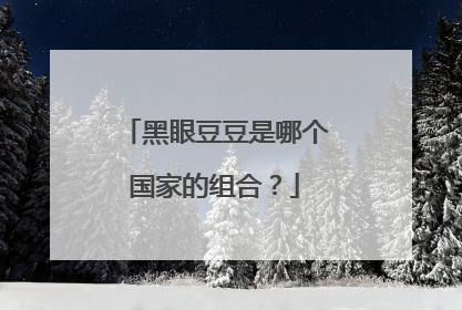 黑眼豆豆是哪个国家的组合?