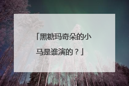 黑糖玛奇朵的小马是谁演的？