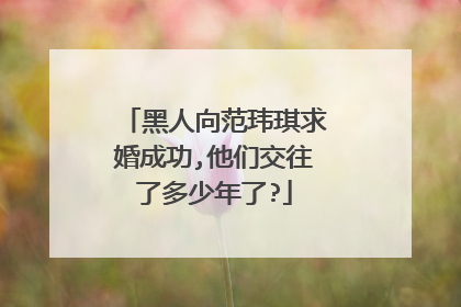 黑人向范玮琪求婚成功,他们交往了多少年了?