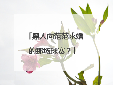 黑人向范范求婚的那场球赛?