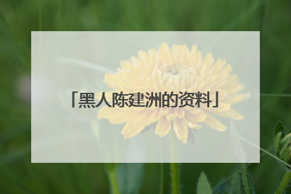 黑人陈建洲的资料