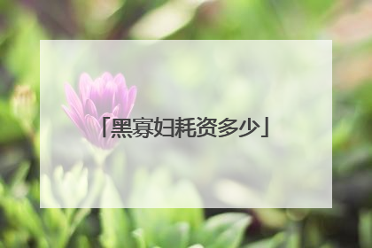 黑寡妇耗资多少