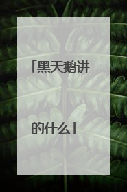 黑天鹅讲的什么